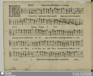 XIII. Rebus in humanis