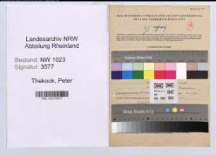 Entnazifizierung Peter Thekook , geb. 06.05.1902 (Lehrer)