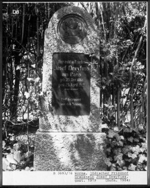 Grabstein des Josef Dreyfuss (gestorben 1919)