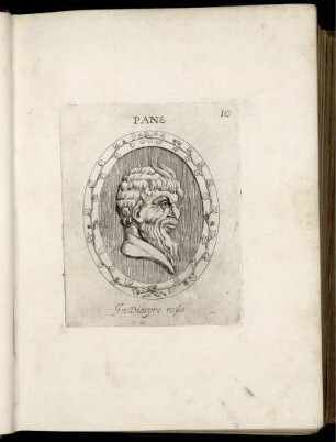 Pane