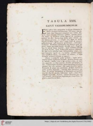 Tabula XXIX. Caput Vigesimumnonum