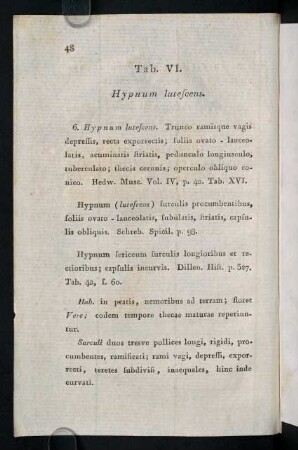 48-53, Tab. VI. Hypnum lutescens.