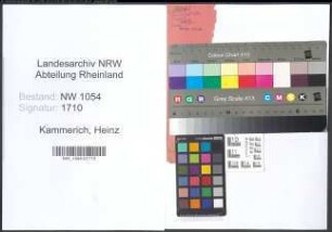 Entnazifizierung Heinz Kammerich , geb. 15.12.1902 (Steuerhelfer)