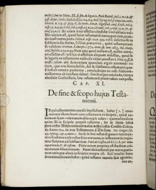 Cap. XI. De fine & scopo hujus Testamenti.
