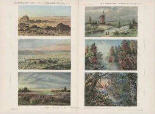 f. Tropischer Wald