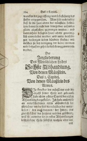 Der Zergliederung Des Menschlichen Leibes Sechste Abhandlung. Von denen Maeußlein