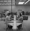 Glaxo GmbH: Industriestraße, Ecke zur Ratzeburger Straße: Hersteller von Pharmaprodukten: Erweiterungsbau: Einweihung: Innenaufnahme: Abteilung Verpackung: Frauen in Kitteln und Schutzhauben an Tischchen bei Transportband, darauf Medikamentenschachteln: Paletten mit Kartons: Aufnahme unscharf