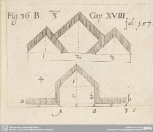Fig: 36.B. 3 Cap. XVIII fol: 157.