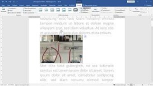 Word: Fachlich Arbeiten - Einfügen und Formatieren von Abbildungen