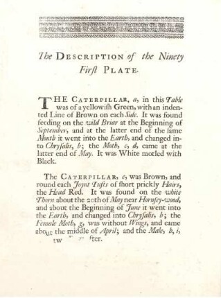 The Description of the Ninety First Plate