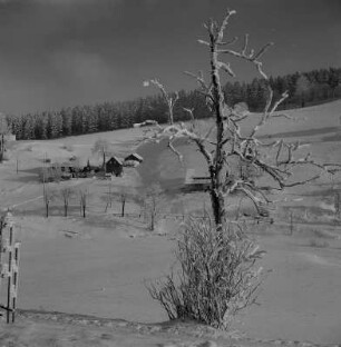 Rehefeld-Zaunhaus. Blick auf den Ort im Winter