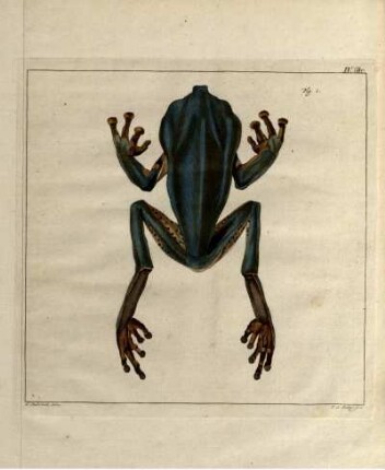 IV. Br. Fig. 1.