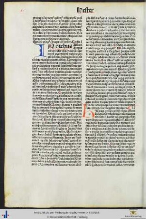 Liber Hester