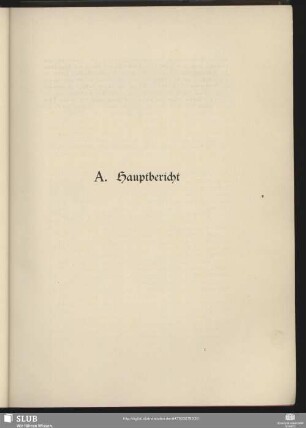 A. Hauptbericht