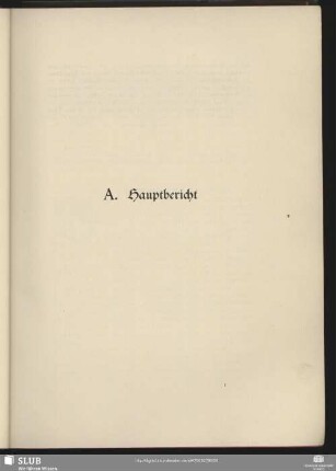 A. Hauptbericht