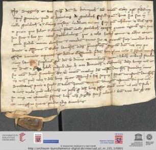 Urkunde : Bewilligung der Seelgerätsstiftung des Heinrich von Mörlenbach zugunsten Kloster Lorschs