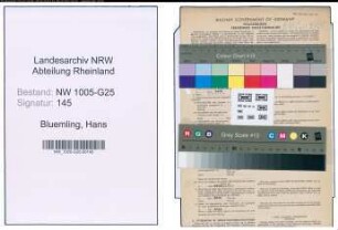 Entnazifizierung Hans Bluemling , geb. 30.04.1902 (Kaufmann)