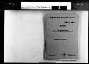 Zwangsverwaltung des Kaliwerkes Buggingen durch einen Vertreter der elsässischen Kaliwerke; Bestellung eines deutschen Zwangsverwalters; Aufhebung der Zwangsverwaltung; Gründung einer Kali-Vertriebsgesellschaft und der Bad. Kaliwerke GmbH