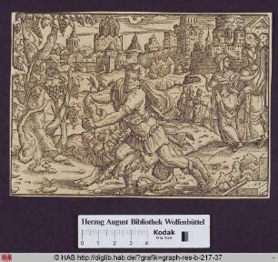 Samson tötet einen Löwen mit bloßen Händen (Richter 14,6).