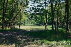 Potsdam, Park Sacrow, Thusnelda-Senke nach Abschluss der Auskofferung.