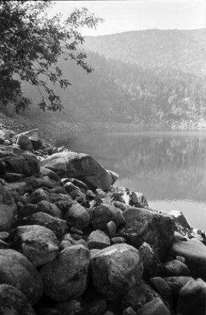 Vogesen: Schwarzer See, Lac Noire, Schwarzer See, Vordergrund Steine