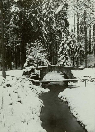 Dresdner Heide, Tod-Brücke über die Prießnitz, Winterbild