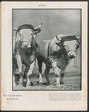 La fotografía artística