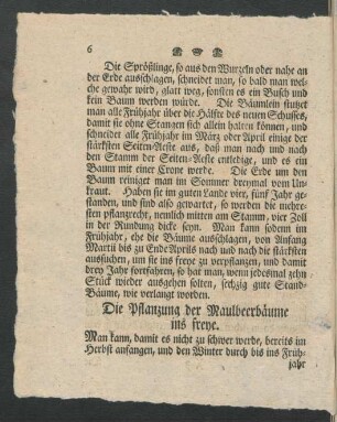 Die Pflanzung der Maulbeerbäume ins freye.