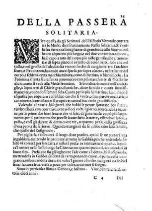 Della Passera Solitaria