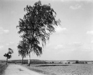 Landstraße bei Berbisdorf