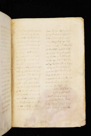 Dominica in passione domini. (T23). [D]icebat Ihesus turbis … Quis ex vobis …