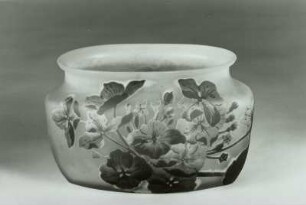 Jardiniere