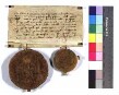 König Friedrich und Herzog Leopold bekennen, dem Grafen Eberhard von Württemberg 200 Pfund für die an den Grafen Friedrich von Zollern in ihrem Namen zu leistenden Zahlungen schuldig zu sein, und versprechen, ihm die Summe bis zum nächsten 25. Juli zu zahlen.