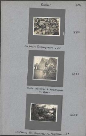 Petite Chevalier b. Arbeitsdienst in Arleux