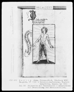 Heinrich von Laufenberg, Regimen sanitatis, deutsch — Aderlaßmann mit Bezeichnung der Aderlaßstellen, Folio 93recto