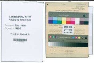 Entnazifizierung Heinrich Trecker , geb. 02.08.1897 (Buchpruefer)