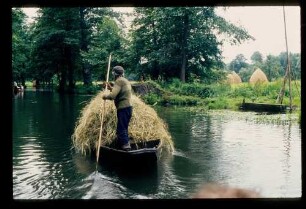 Spreewald 26.7.84.