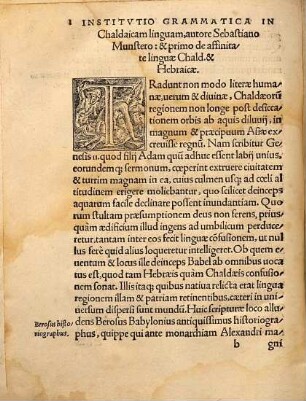 Chaldaica Grammatica : item in ... hoc est, commentaria Hebraeorum, regulae aliquot generales ...