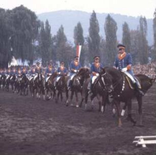 Dillenburg, Wilhelmstraße. Hessisches Landgestüt. Hengstparade. Quadrille der Hengste. Die Reiter tragen in ihrer Uniform die Farben blau und orange des Hauses Oranien