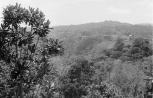 Landschaft um Amani : Blick auf die Umgebung von Amani