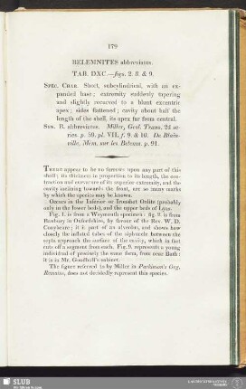 Belemnites abbreviatus. Tab. DXC.—figs. 2. 3. & 9