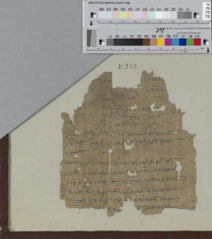 Fragment