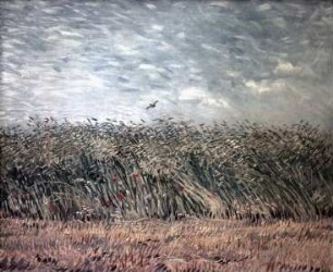 Weizenfeld mit Mohnblumen und einer Lerche