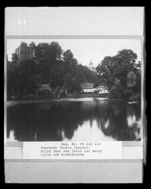 Ruine, Tharandt