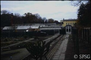 Potsdam, Park Sanssouci, Botanik.