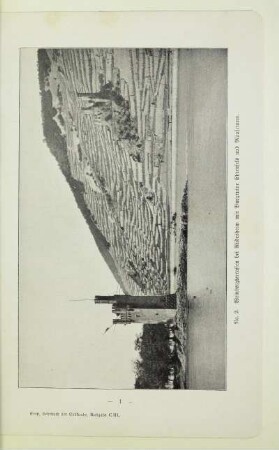 Weinbergterrassen bei Rüdesheim mit Burgruine Ehrenfels und Mäuseturm