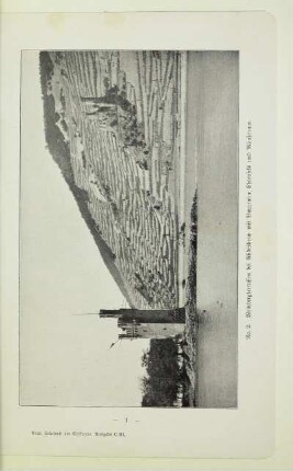 Weinbergterrassen bei Rüdesheim mit Burgruine Ehrenfels und Mäuseturm