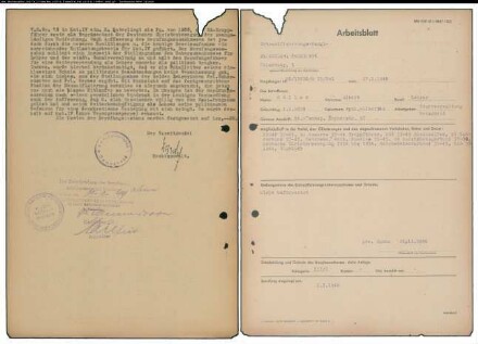 Entnazifizierung Albert Hoeller , geb. 01.01.1899 (Lehrer)