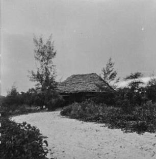 Strandhaus : Weg zu einem Strandhaus