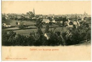 Blick vom Burgberg zum Stadtzentrum mit Stadtkirche Unserer Lieben Frauen (von Nordost)